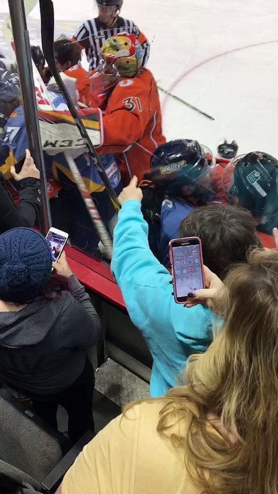 Ice Hockey Insanity
