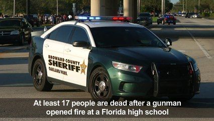 At least 17 dead in US school shooting, suspect arrested