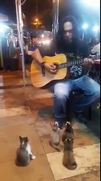 Ce musicien de rue est ignoré par les passants, mais en se penchant il découvre un public inattendu