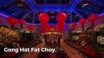 Chinese New Year: Las Vegas celebrates the Year of the Dog