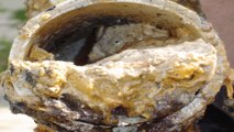 Beware the Monster Fatbergs Lurking Beneath Our Streets