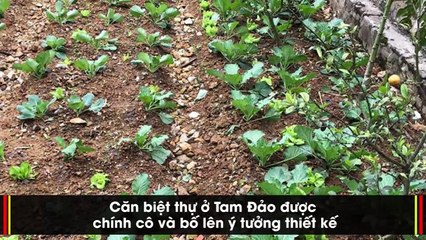 Những sao Việt từ chối chạy show, đón Tết ấm cúng bên gia đình [TẾT]
