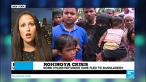 Rohingya crisis: U.N. Security Council behind closed doors 
