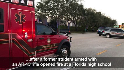 17 killed in Florida school shooting by former student: sheriff