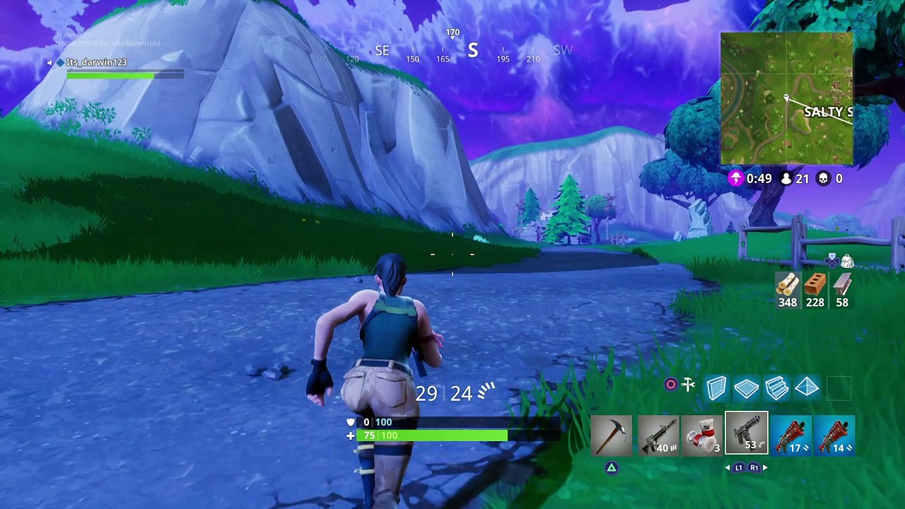 Fortnite_Darwin