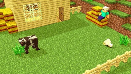 Top 3 Minecraft Animations - Best Minecraft Animation