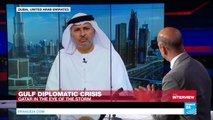 'Qatar crisis has been in the making for years', says UAE foreign minister