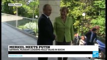 Russia: German Chancellor Angela Merkel meets Vladimir Putin in Sochi