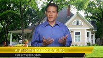 A B Home Inspections Inc. Hoover Wonderful Five Star Review by Joe L.