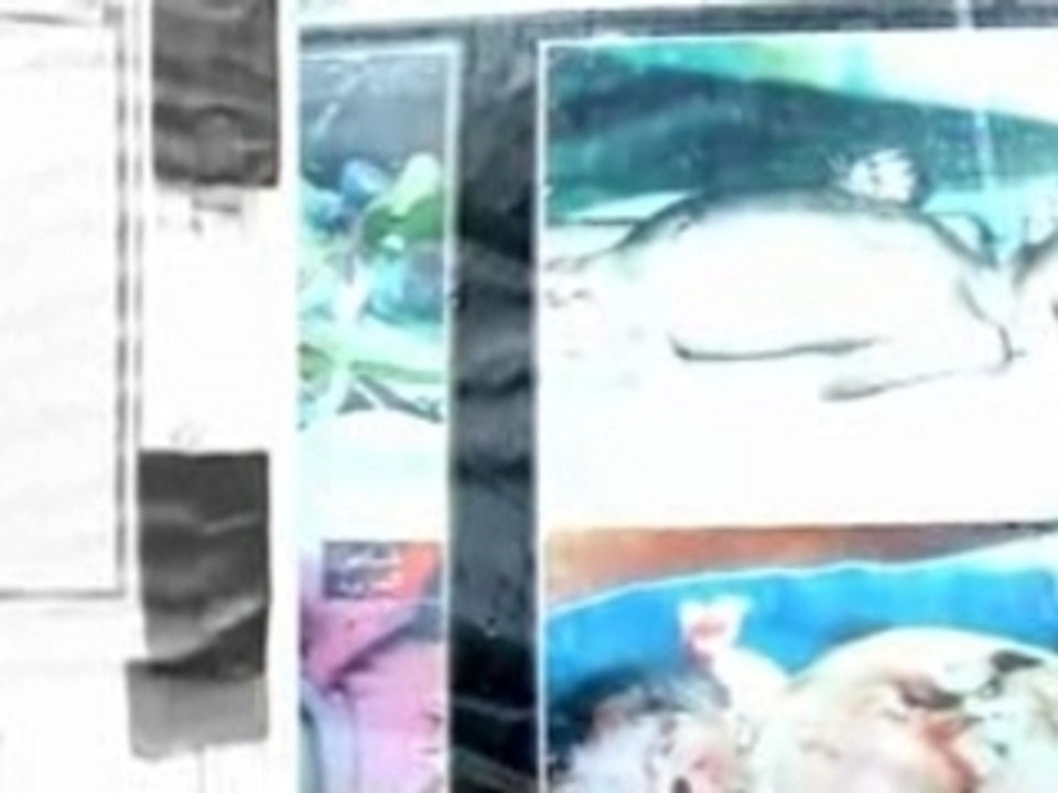 Brian Haw Protest a film by Gaius FitzGibbon