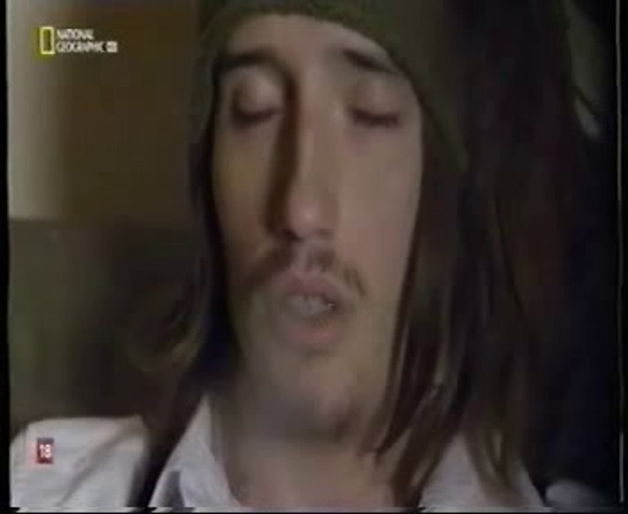 Drogas psicodelicas: DMT (N-dimetiltriptamina)