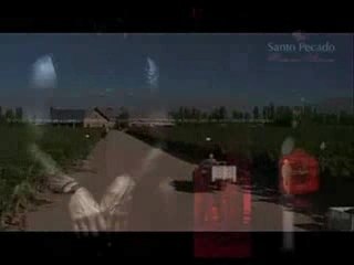 Vino Santo Pecado de Ricardo Arjona