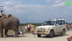 En Afrique voilà comment on dépanne les voitures... Avec un éléphant