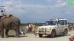 En Afrique voilà comment on dépanne les voitures... Avec un éléphant