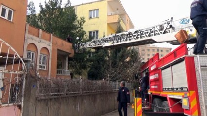 - Çatıda mahsur kalan kediyi itfaiye kurtardı