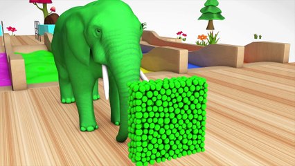 Learn Color & Learn Shapes Cartoon 3D Elephant Animals W Water Nursery Rhymes Song For Children