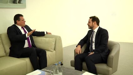 Enerji ve Tabii Kaynaklar Bakanı Albayrak'ın Azerbaycan Temasları