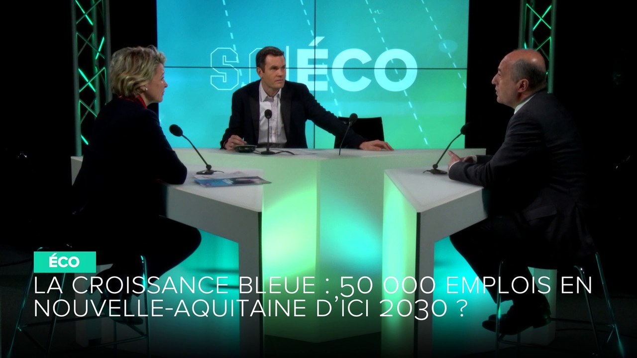 SO Eco - La croissance bleue