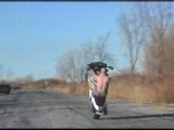 Video_Street bike-Racing & Tricks & Crashes stunts