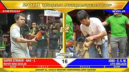 WORLD PITMASTER CUP 2018  FIGHT 16 SUPER STRIKER - AAO - 1 VS JOBO - E. S. M.