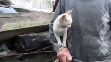 Idoso emociona o mundo ao abraçar a sua gatinha resgatada de incêndio devastador!