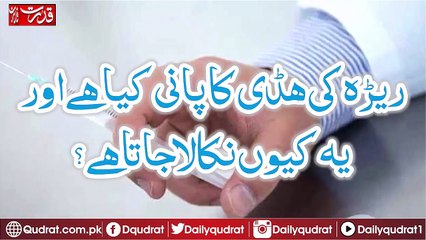 What is the spinal water and why it is extracted.