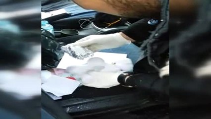 Kars'ta Pandanın İçerisinden Uyuşturucu Çıktı