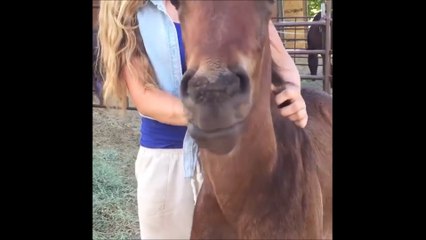 Quand ton poulain se met à sourire tellement il kiffe son massage