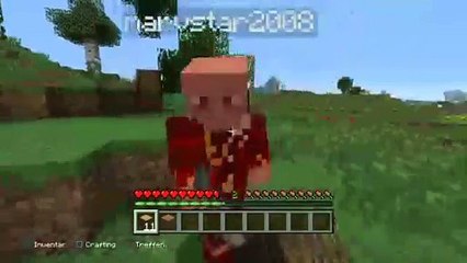 Minecraft (85)