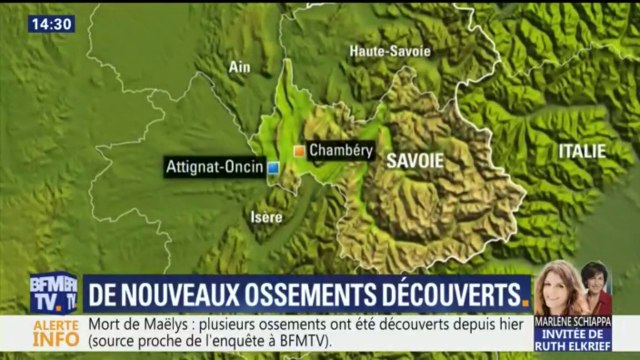 Maëlys: Plusieurs ossements ont été découverts dans la zone de recherche