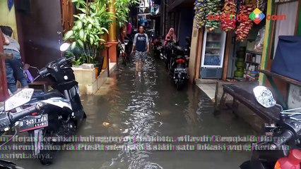 Tak Ada Takutnya, Bocah Cempaka Baru Bermain Ular di Lokasi Banjir