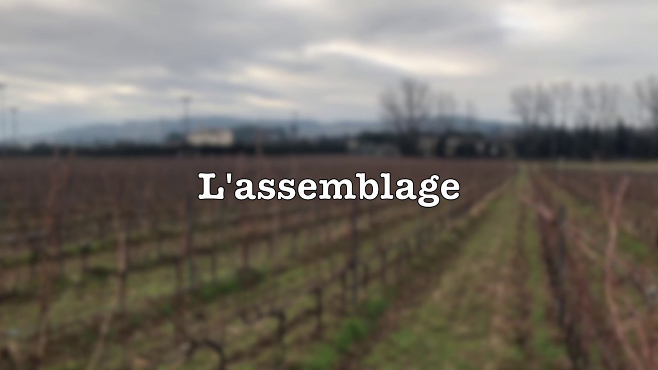 L'assemblage pour les néophytes