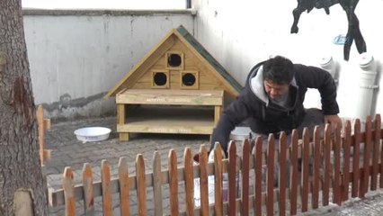 Gaziosmanpaşa Anadolu Lisesi'ne Kedi Evi