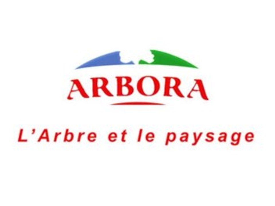 ARBORA à Joué-lès-Tours, élagage, coupes d'arbres, travaux paysagers.