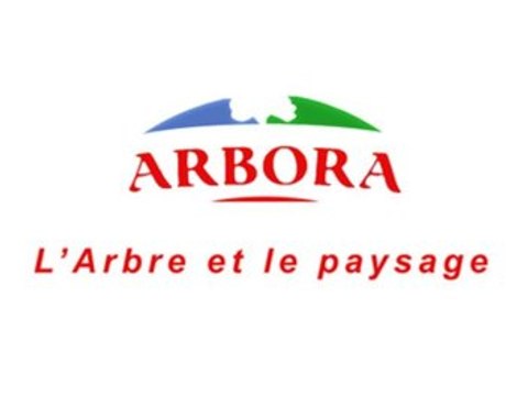 ARBORA à Joué-lès-Tours, élagage, coupes d'arbres, travaux paysagers.
