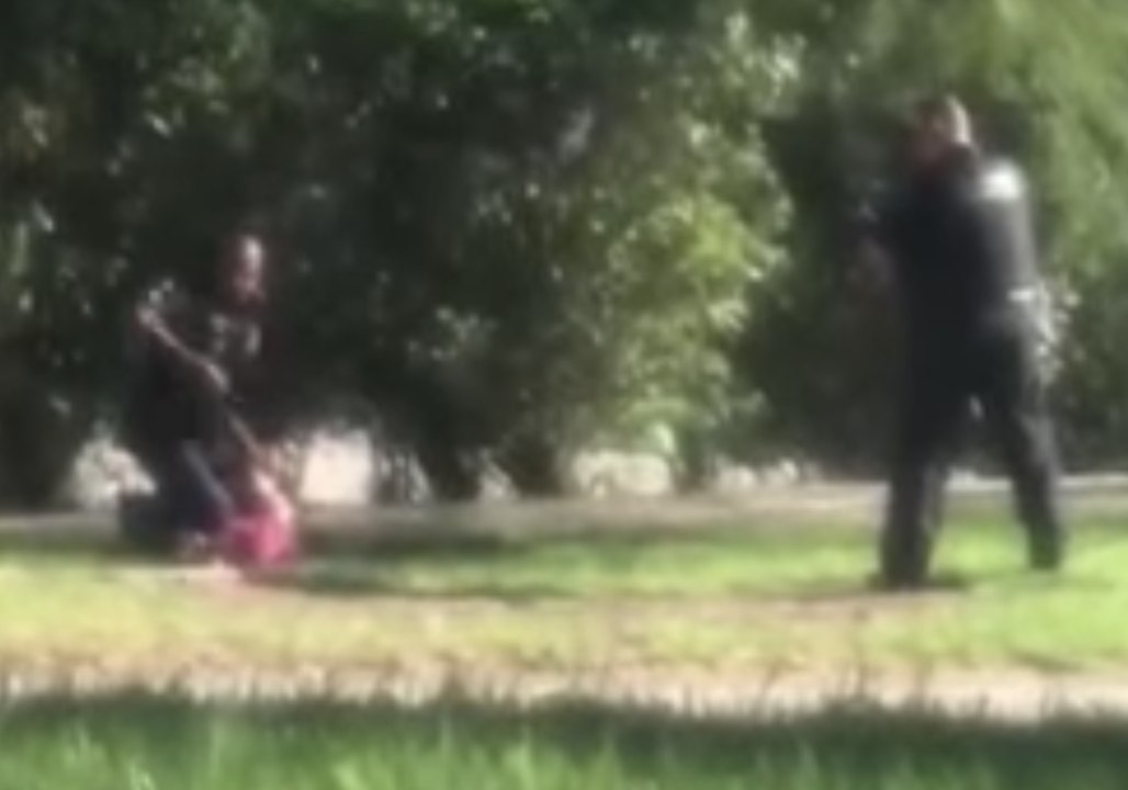 Video Shows Arrest of Florida School Shooting Suspect