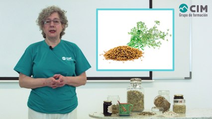 CIM Formación - Fitoterapia: preparación de tisana para tener buenas digestiones