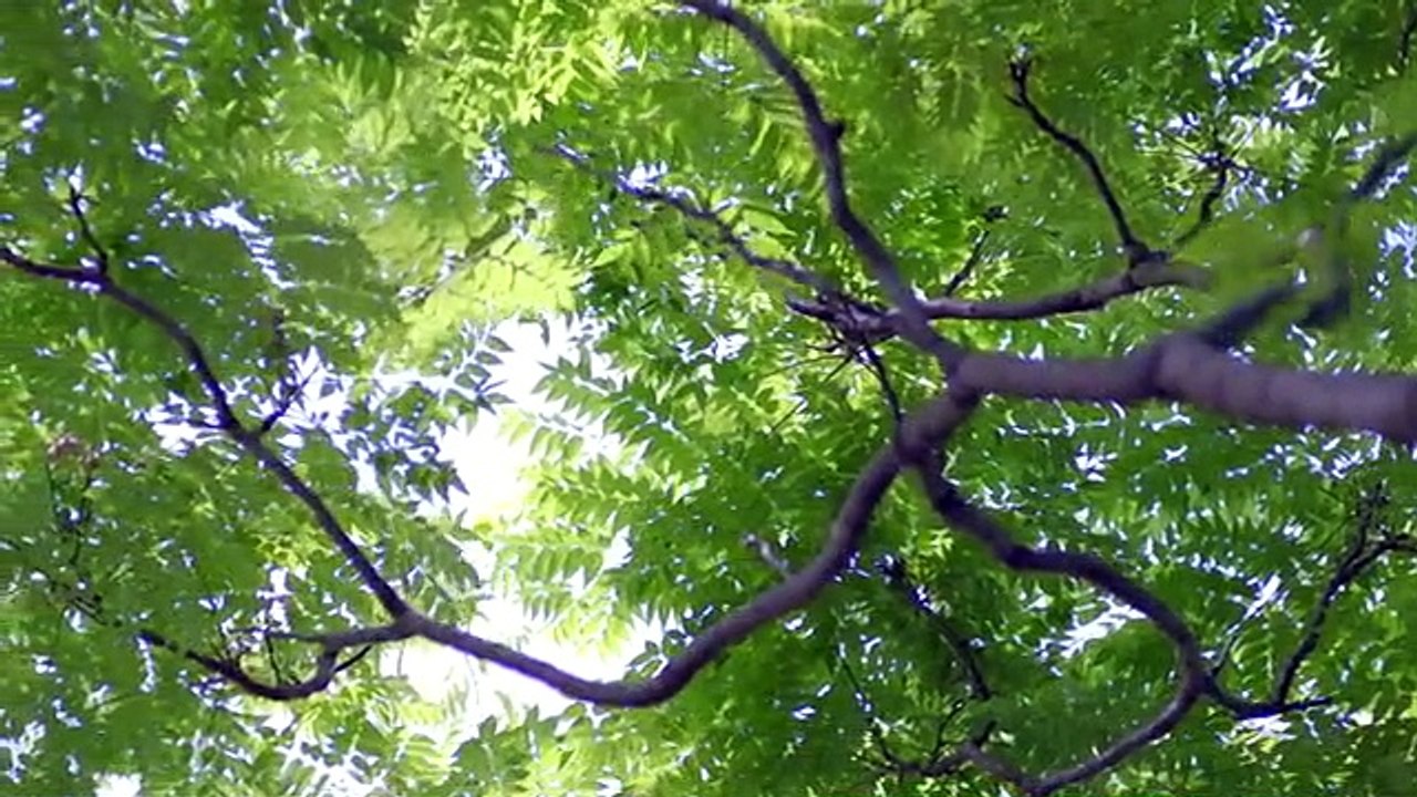 22-幸福，近在咫尺-22