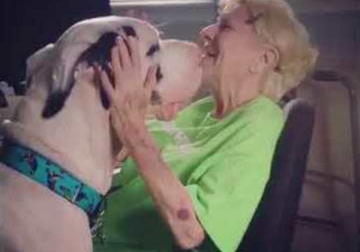 Great Dane and 90-Year-Old Woman Share Close Bond