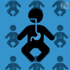 Lactalis : 12 ans de salmonelles