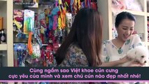 Dàn cún cưng nổi tiếng của sao Việt trong showbiz [TẾT]