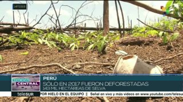 Perú: indígenas sufren efectos de la grave deforestación en el país