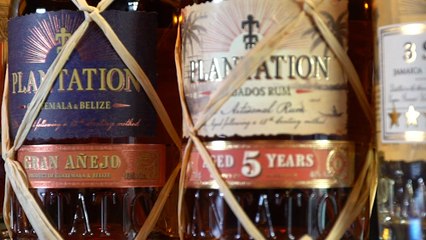 What can you do if you're single?