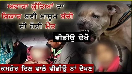 ਅੰਮ੍ਰਿਤਸਰ ਕੁੱਤਿਆਂ ਦਾ ਸ਼ਿਕਾਰ ਬਣੀ 10 ਸਾਲਾਂ ਮਾਸੂਮ ਬੱਚੀ ਦੀ ਹੋਈ ਮੌਤ(1)