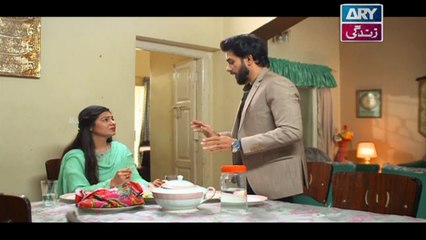 Haya Kay Rang Episode 239 In High Quality on Ary Zindagi 15th February 2018