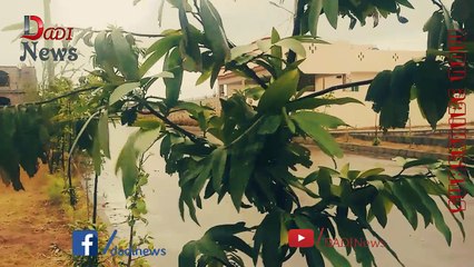 Beautiful Rainy Day in Islamabad, Pakistan | 2018