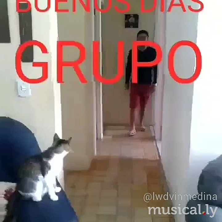 saludo de parceros