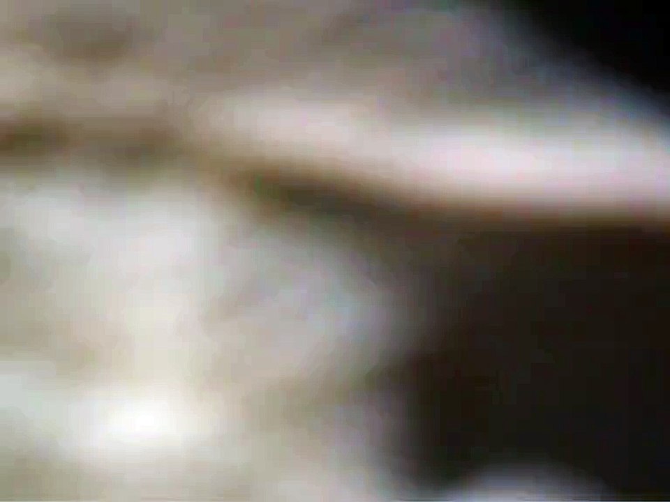 Les calanques en bateau (7)