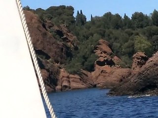 Les calanques en bateau (9)