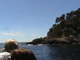 Les calanques en bateau (3)